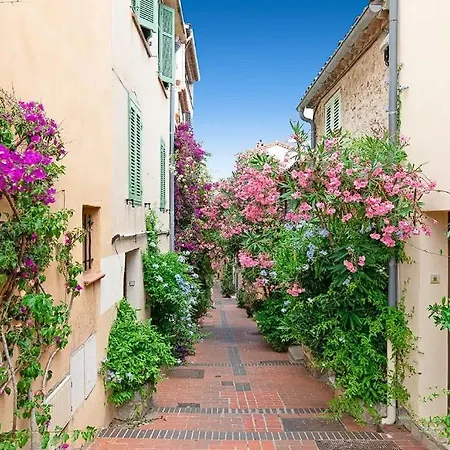 Homestay Fabulous Sea View Terrace ! Antibes
